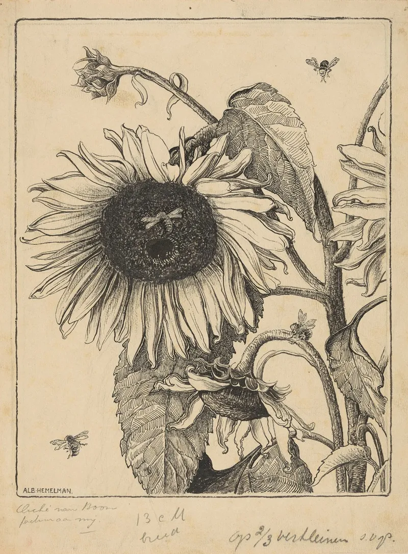 Sunflowers 5