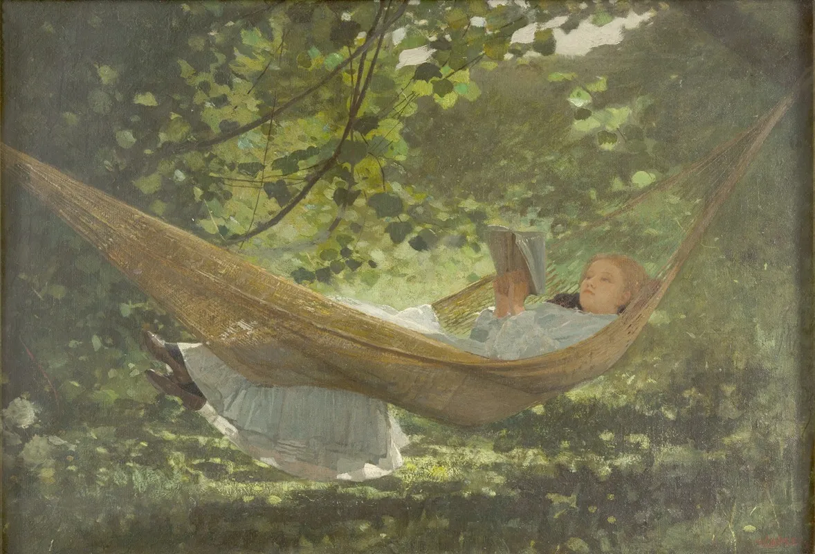 Sunlight And Shadow 3