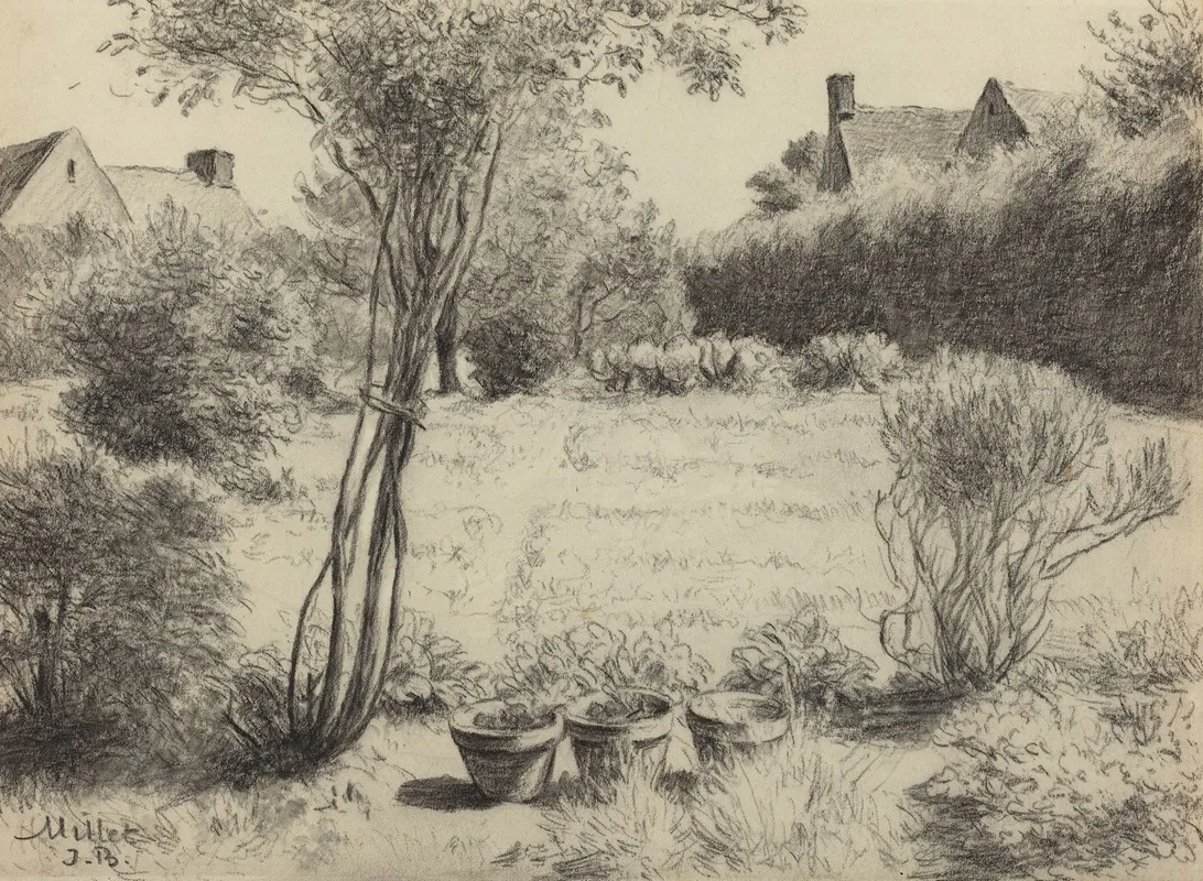 Sunlit Garden