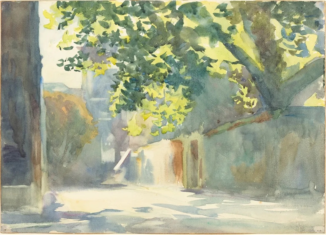 Sunlit Wall Under A Tree