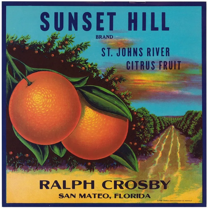 Sunset Hill Brand Florida Citrus Label 2