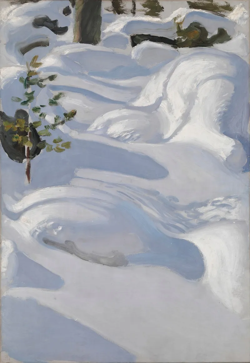 Sunshine On Snow