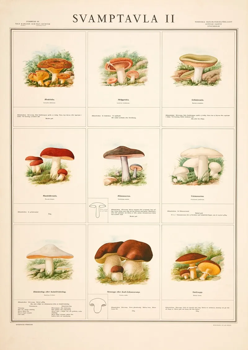 Svamptavla Ii by Max Richter - Canvas Print