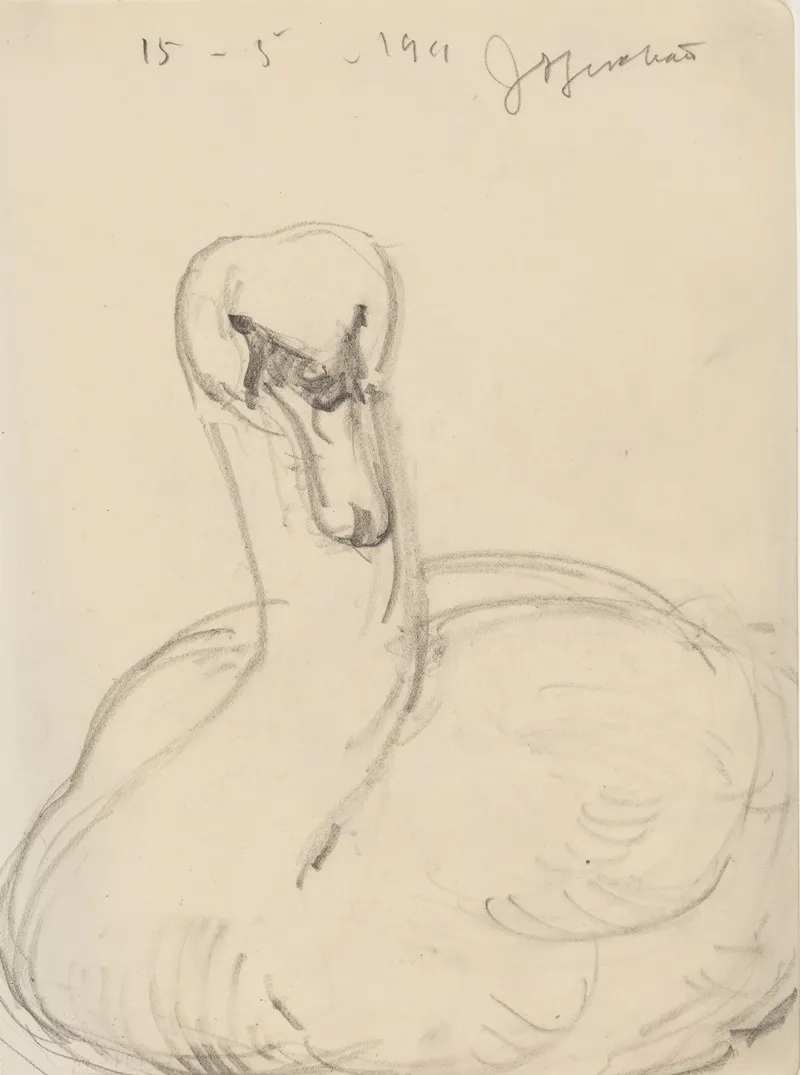 Svane