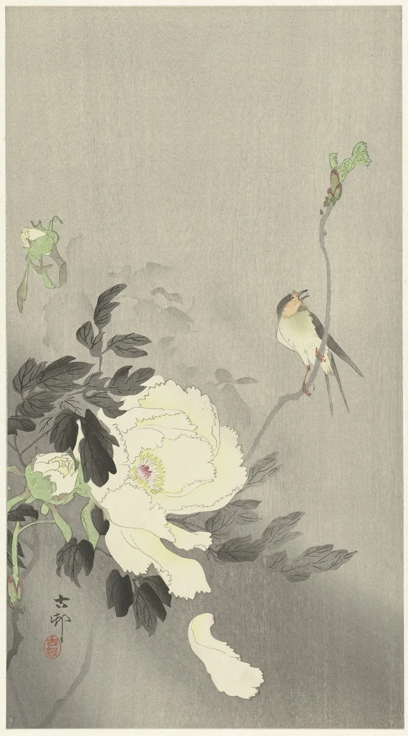 Swallow With Peony by Ohara Koson - Canvas Print