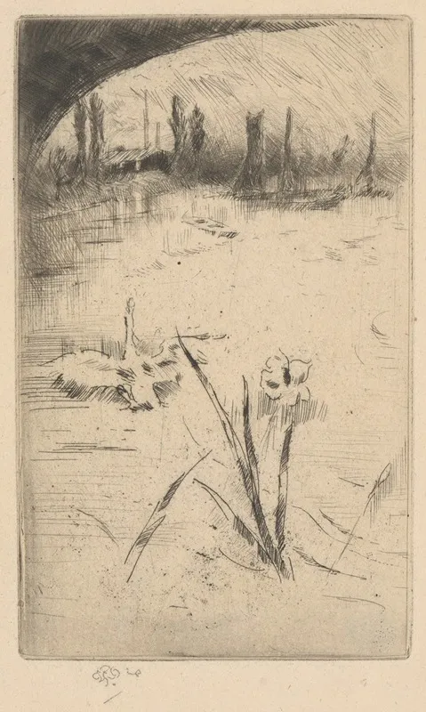 Swan And Iris