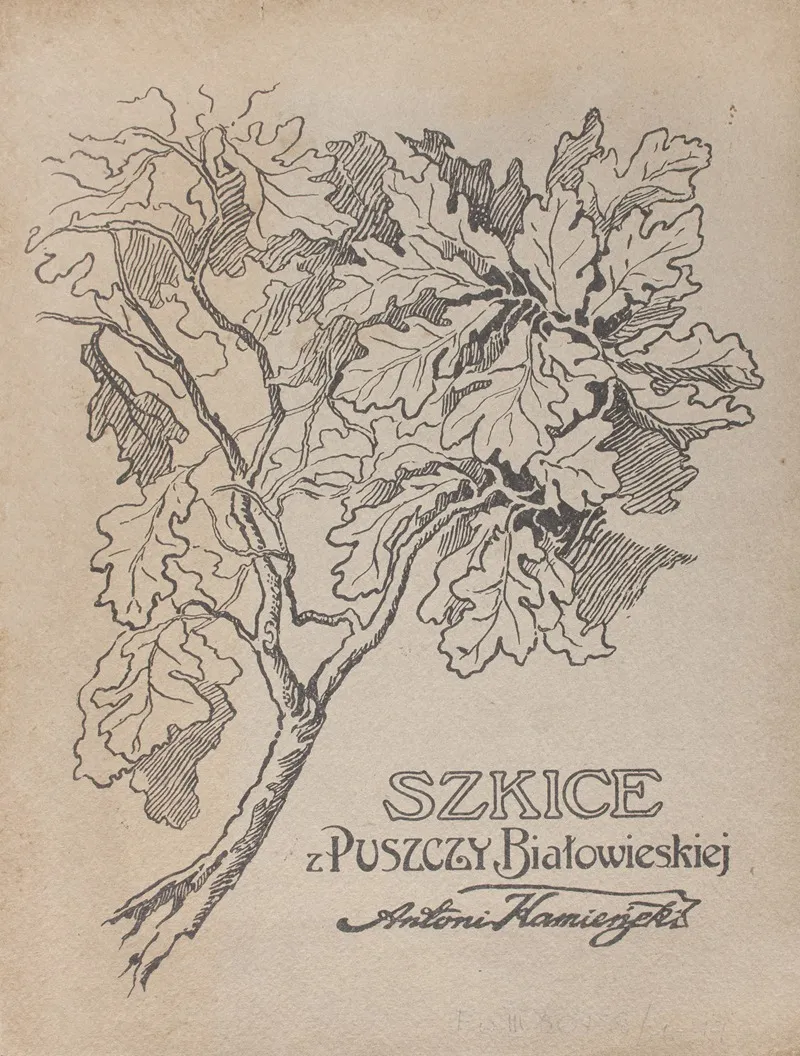 Szkice Z Puszczy Bialowieskiej Title Page by Antoni Kamieński - Canvas Print