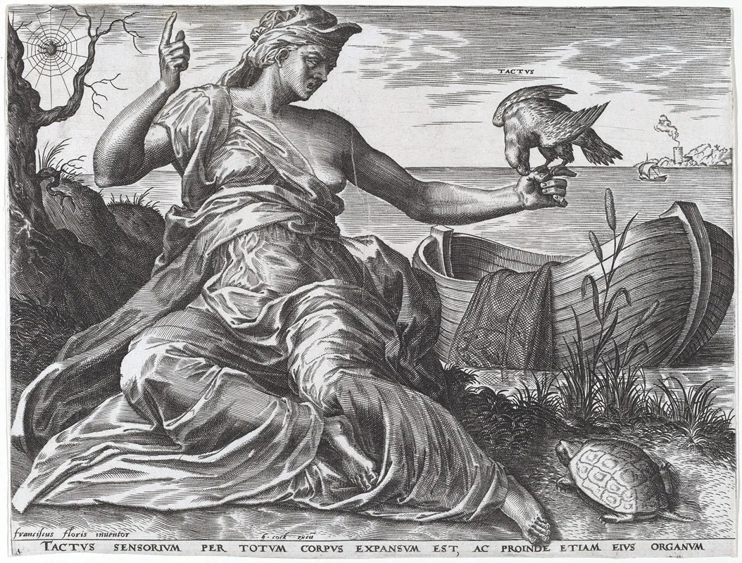 Tactus by Cornelis Cort - Canvas Print