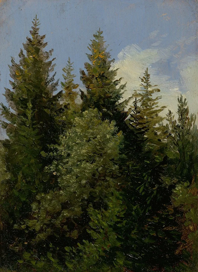 Tannen