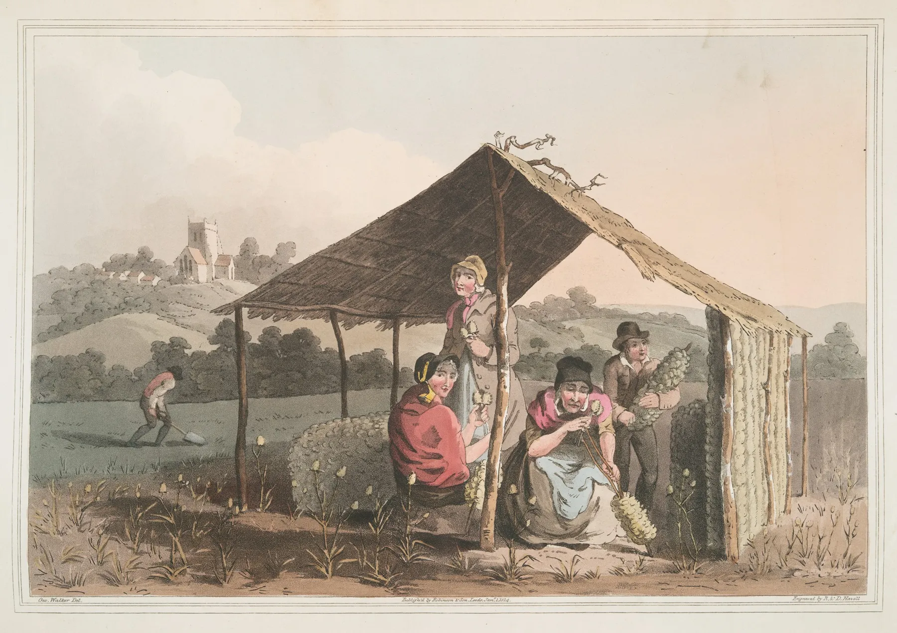 Teasel Field Plate 23