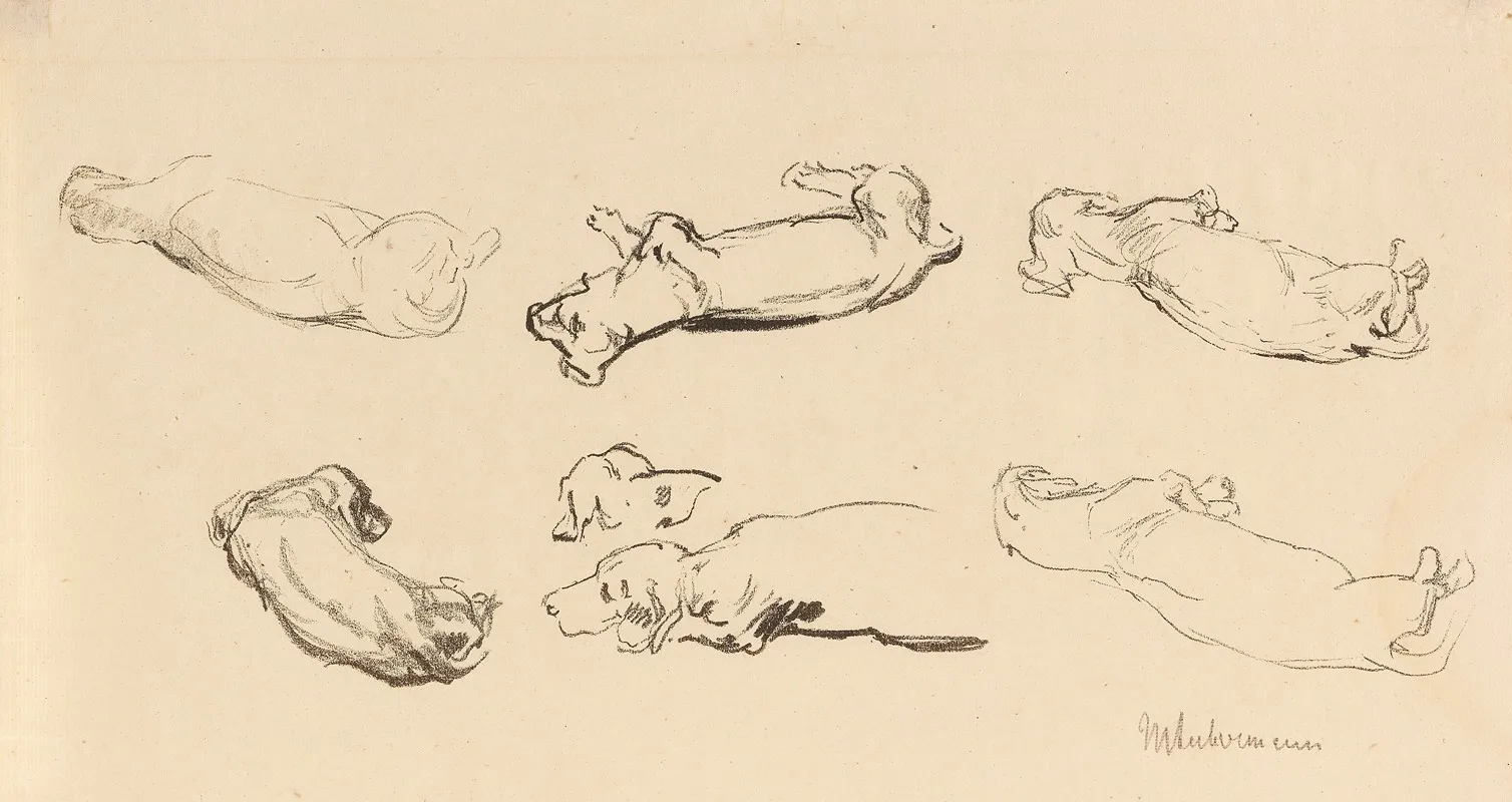 Teckelstudien by Max Liebermann - Canvas Print