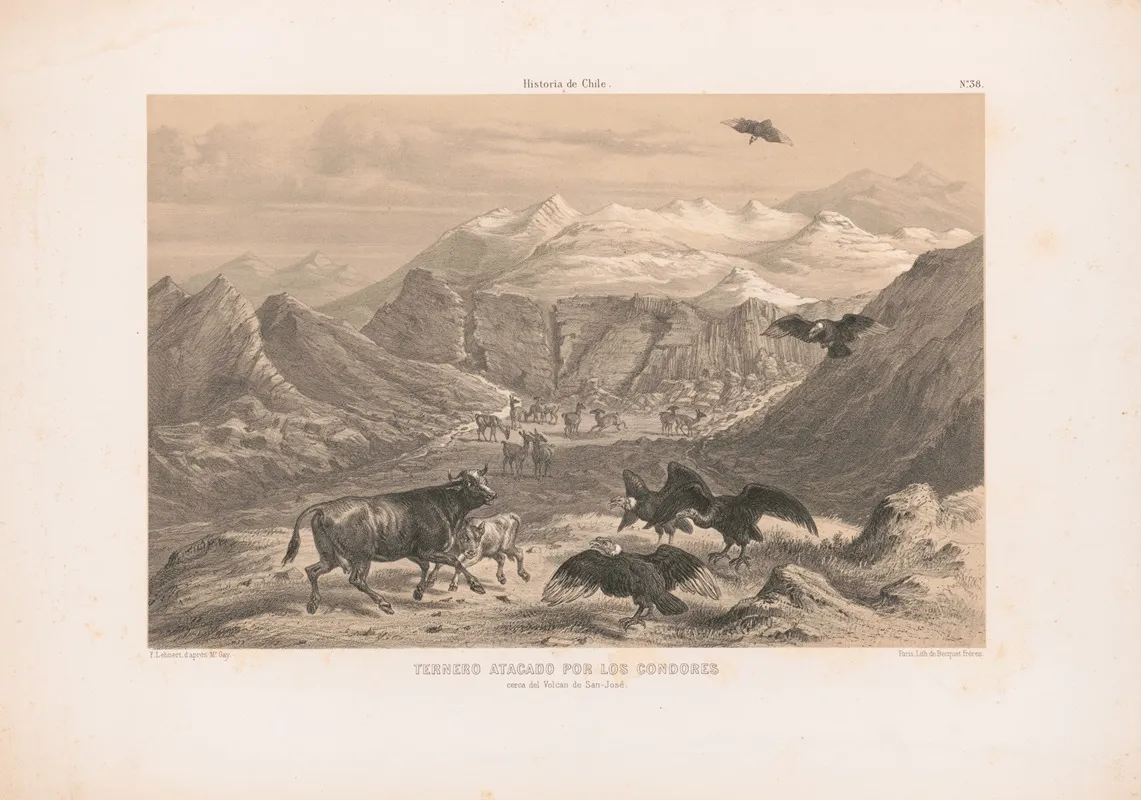 Ternero Atacado Por Los Condores Cerca Del Volcan De San Jose by Pierre Frédéric Lehnert - Canvas Print