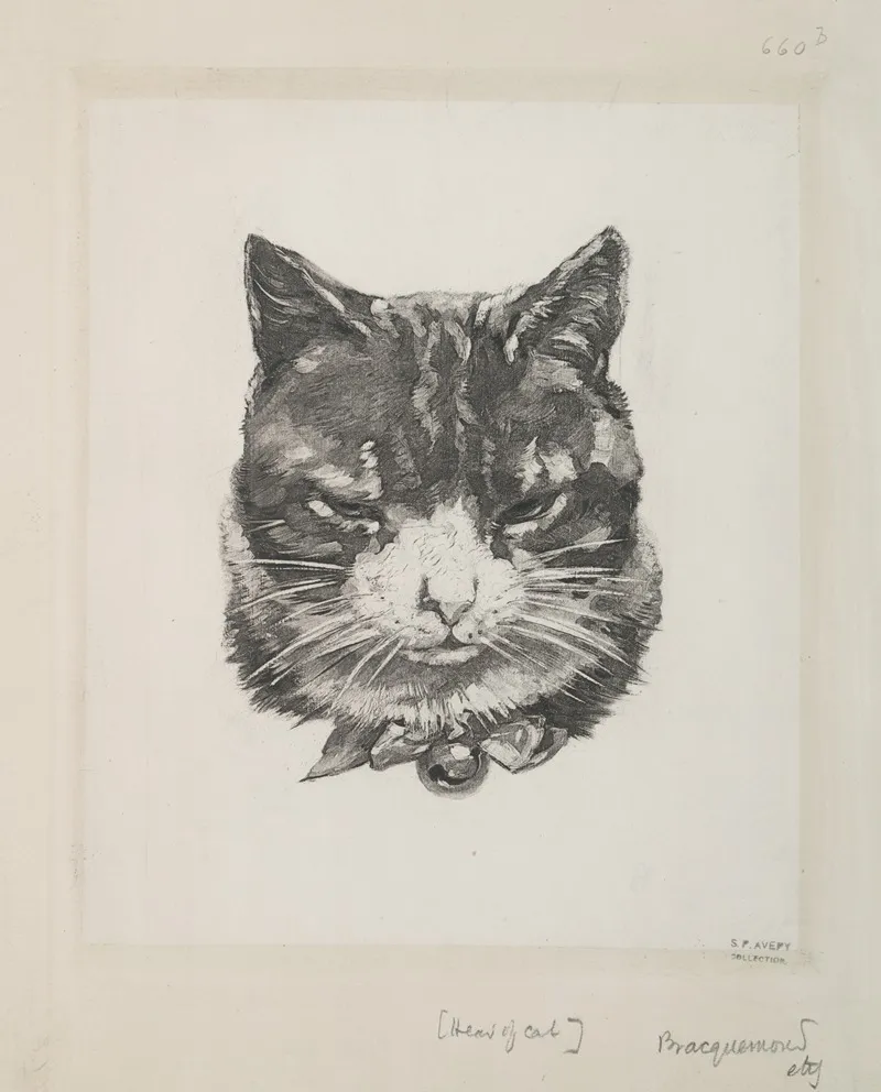 Tete De Chat