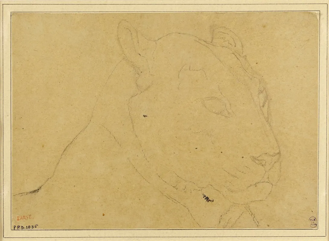 Tete De Tigre