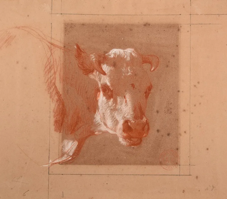 Tete De Vache
