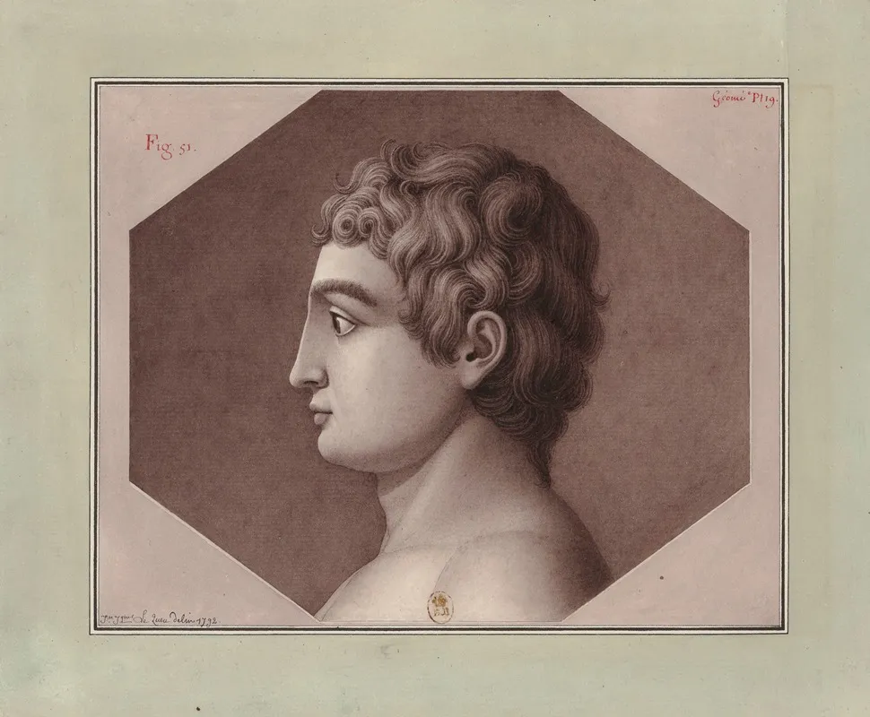 Tete Vue De Profil