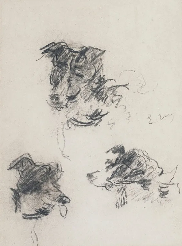 Tetes De Chiens
