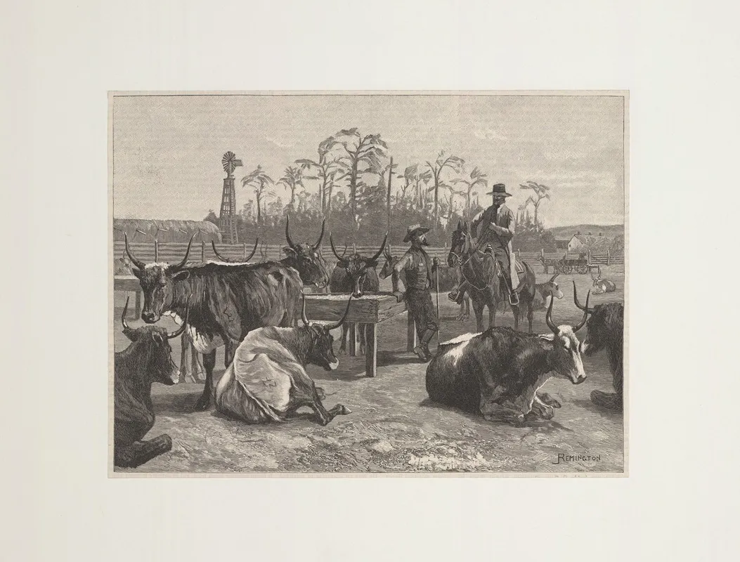 Texan Cattle In Kansas Corn Corral