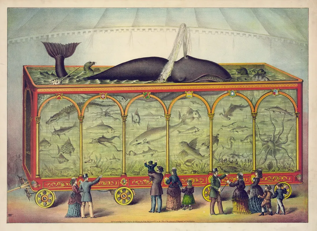 The Aquarium