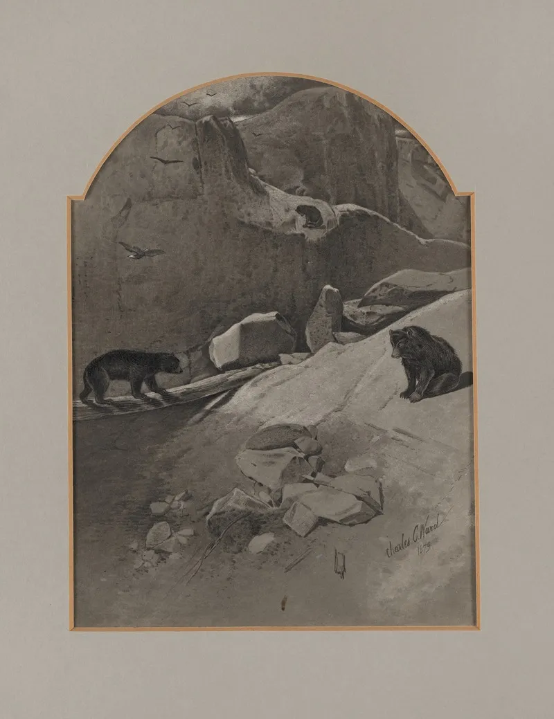 The Bear Pass by Charles Caleb Ward - Canvas Print