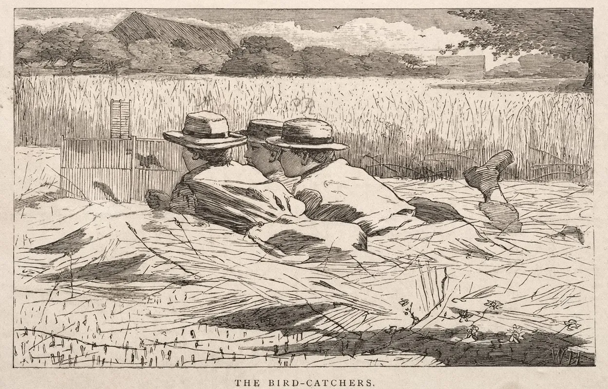 The Bird Catchers 3