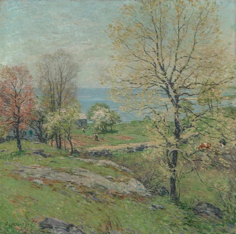 The Budding Oak