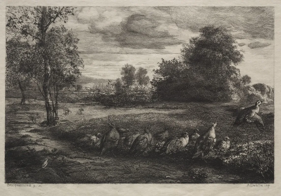 The Call To Order by Félix Bracquemond - Canvas Print