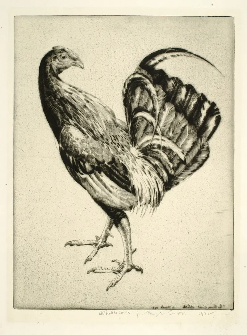 The Carney Cock