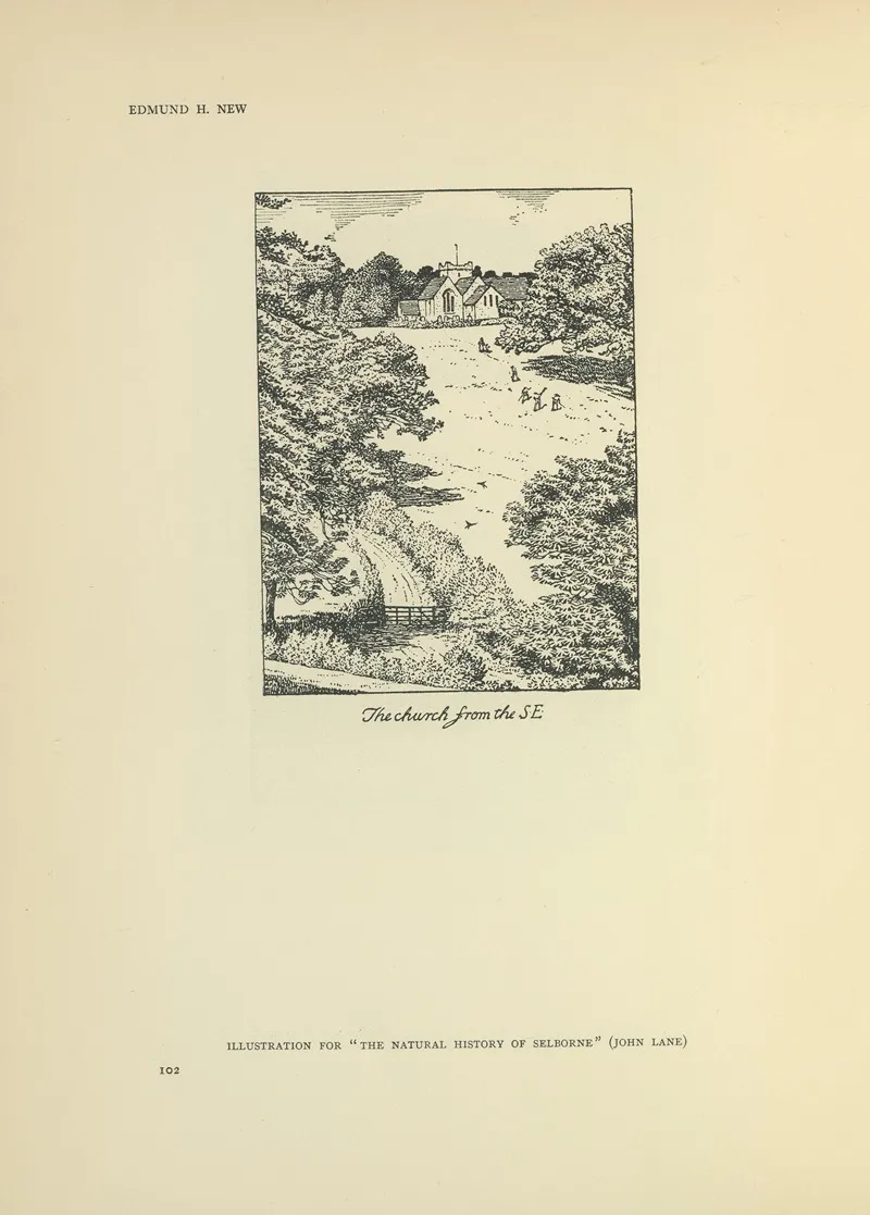The Church From The S E The Natural History Of Selborne by Edmund Hort New - Canvas Print