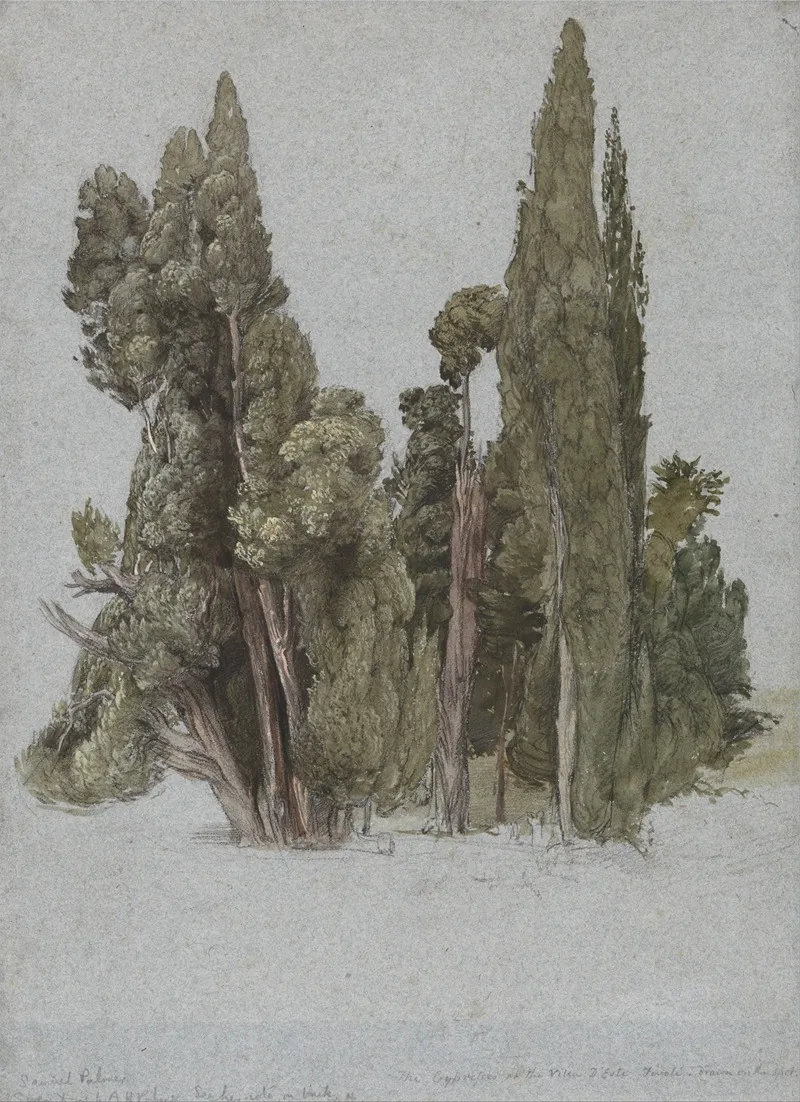 The Cypresses At The Villa Deste Tivoli