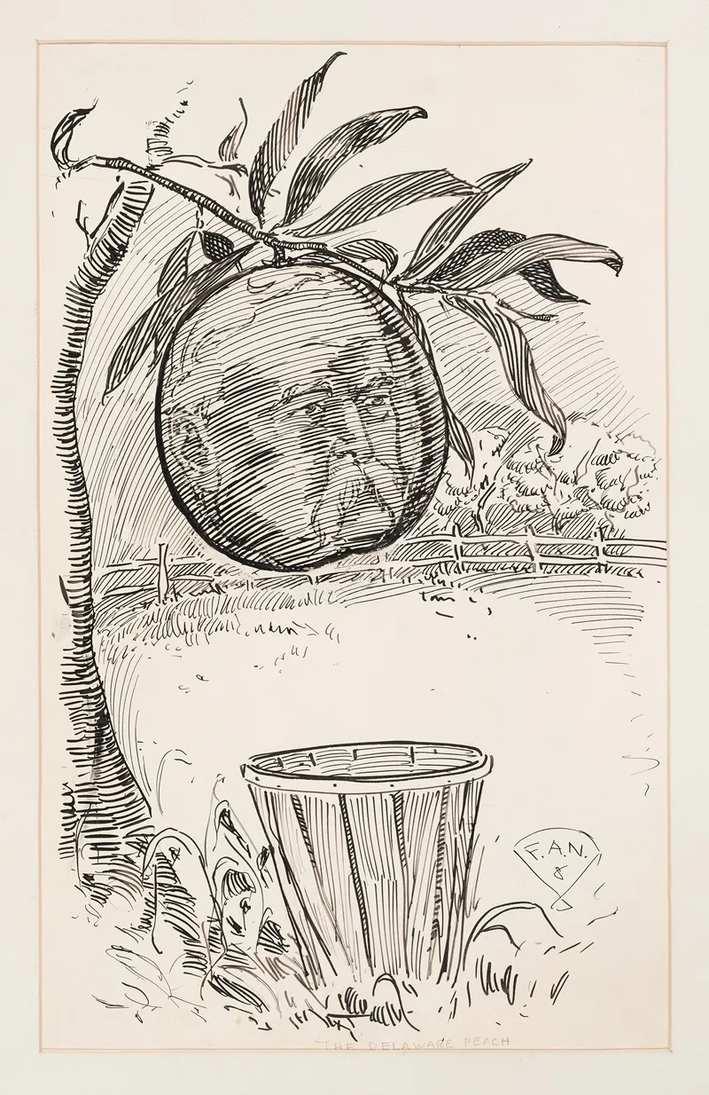 The Delaware Peach by Frank Arthur Nankivell - Canvas Print