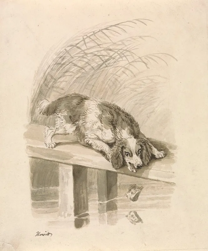 The Dog And The Shadow 2