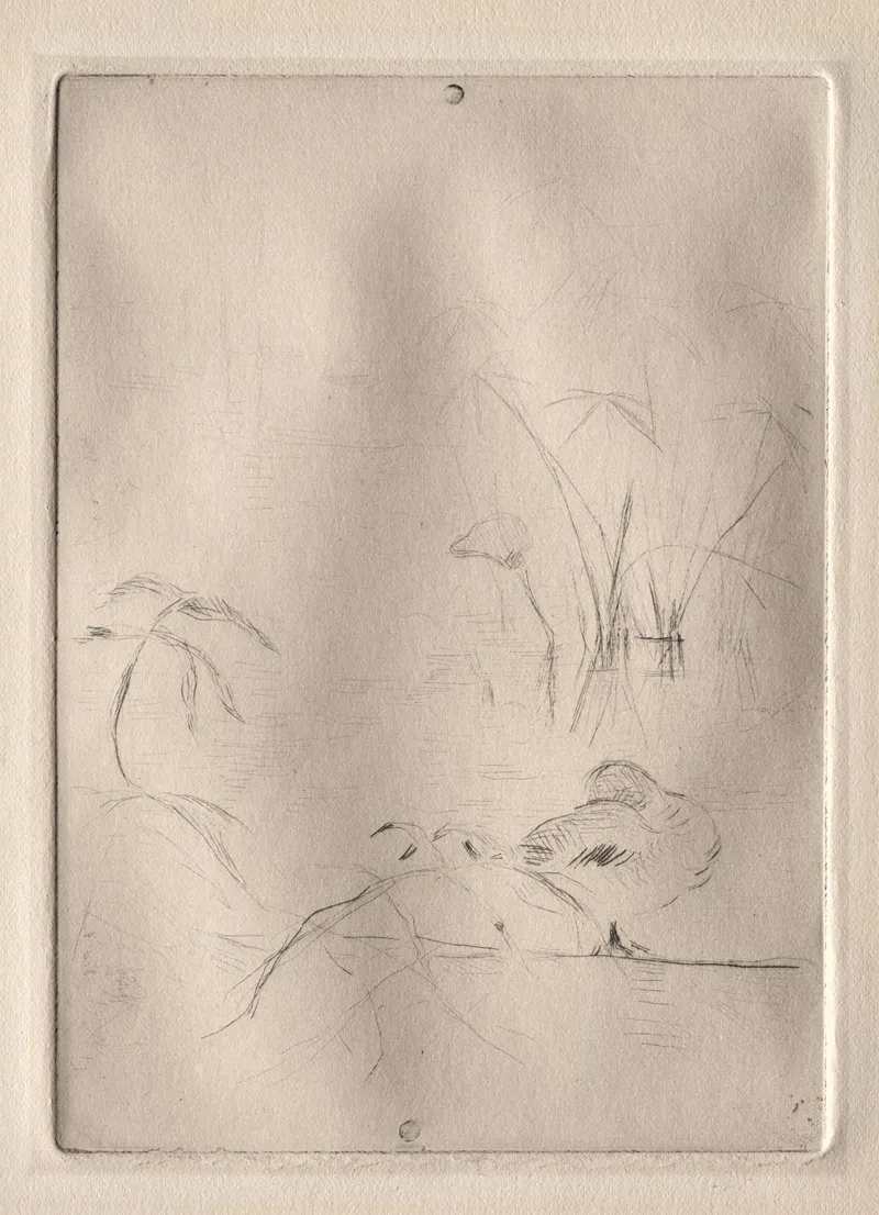 The Duck 2 by Berthe Morisot - Canvas Print