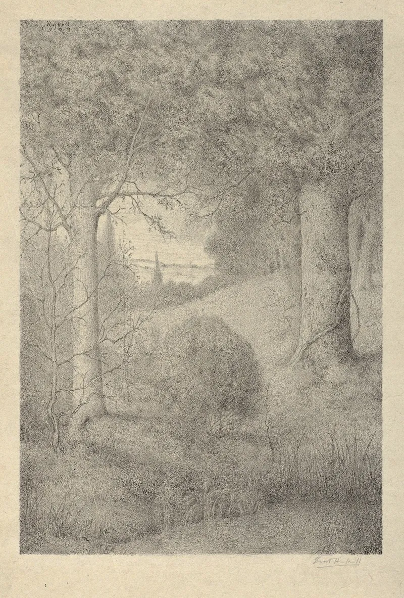 The Edge Of The Wood