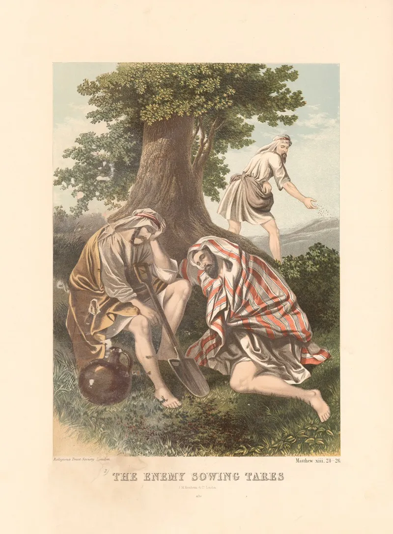 The Enemy Sowing Tares