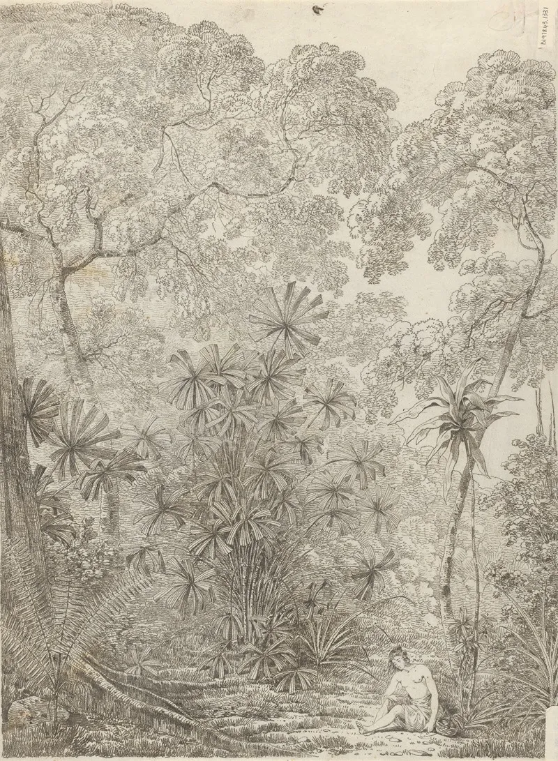 The Fan Palm Of Cracatoa