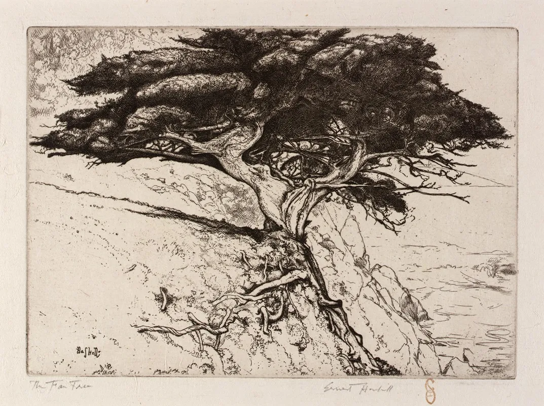 The Fan Tree by Ernest Haskell - Canvas Print