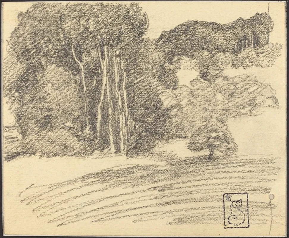 The Forest At Courdemanche