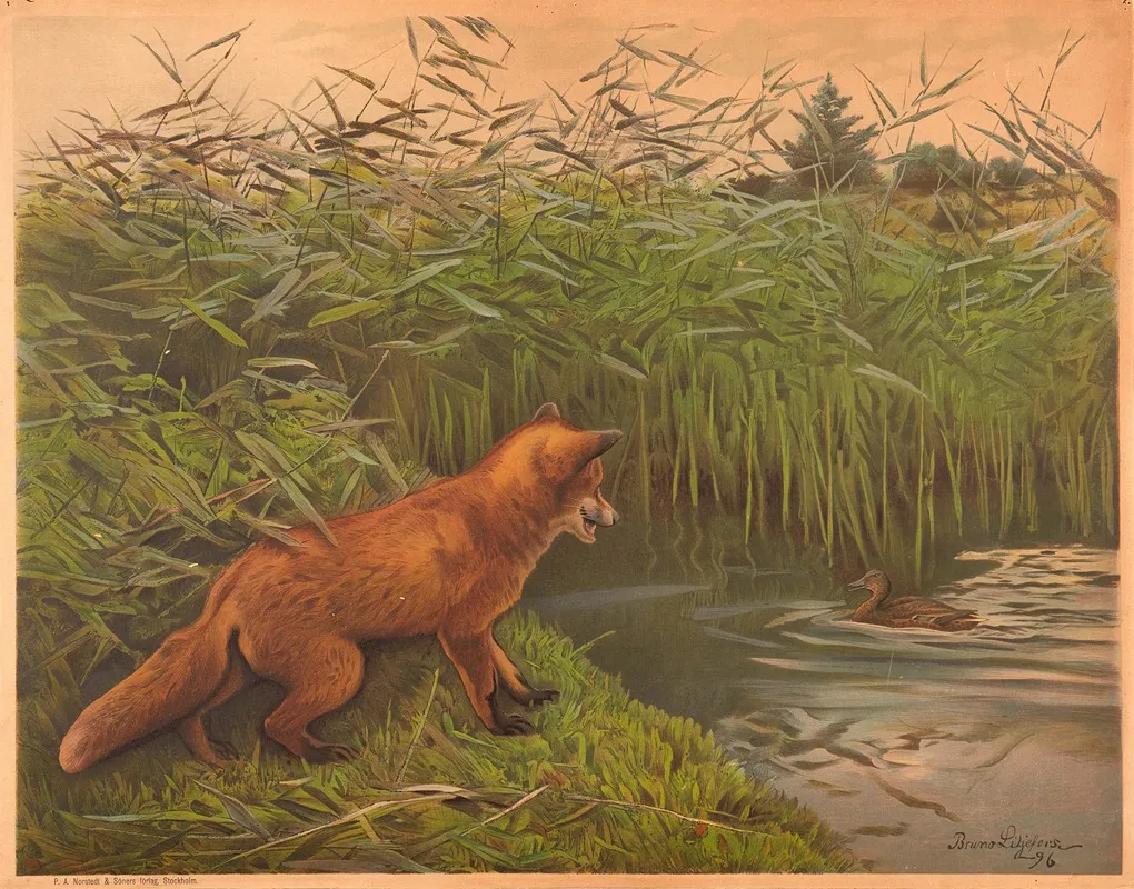 The Fox And The Duck by Bruno Liljefors - Canvas Print