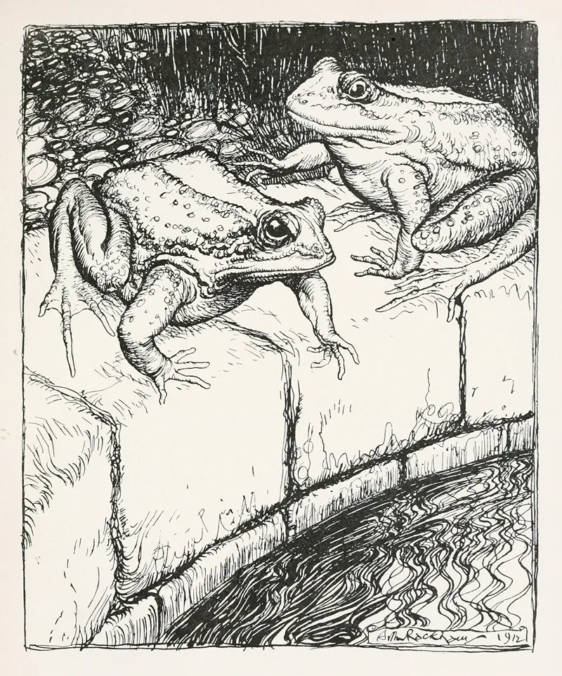 The Frogs And The Well