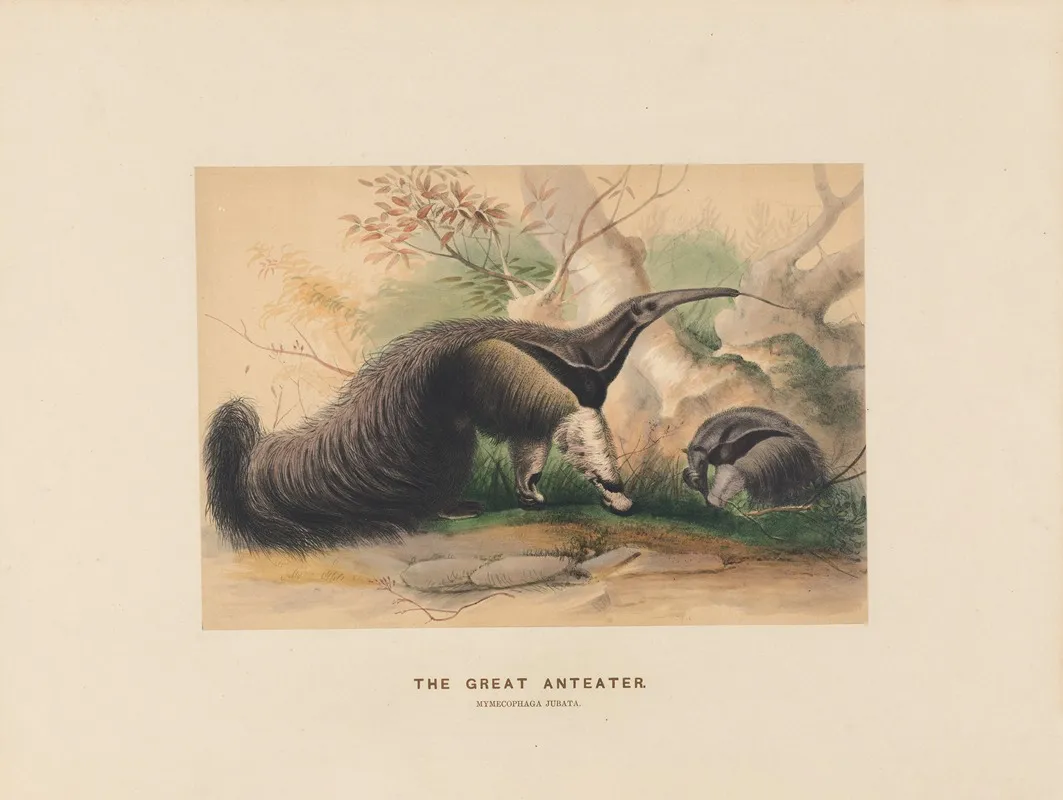 The Great Anteater 2