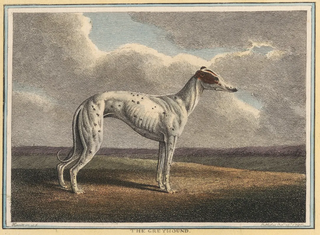 The Greyhound