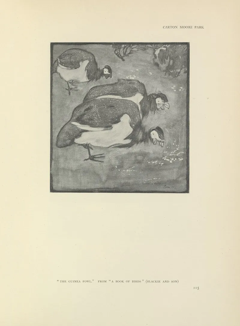 The Guinea Fowl A Book Of Birds by Carton Moore Park - Canvas Print