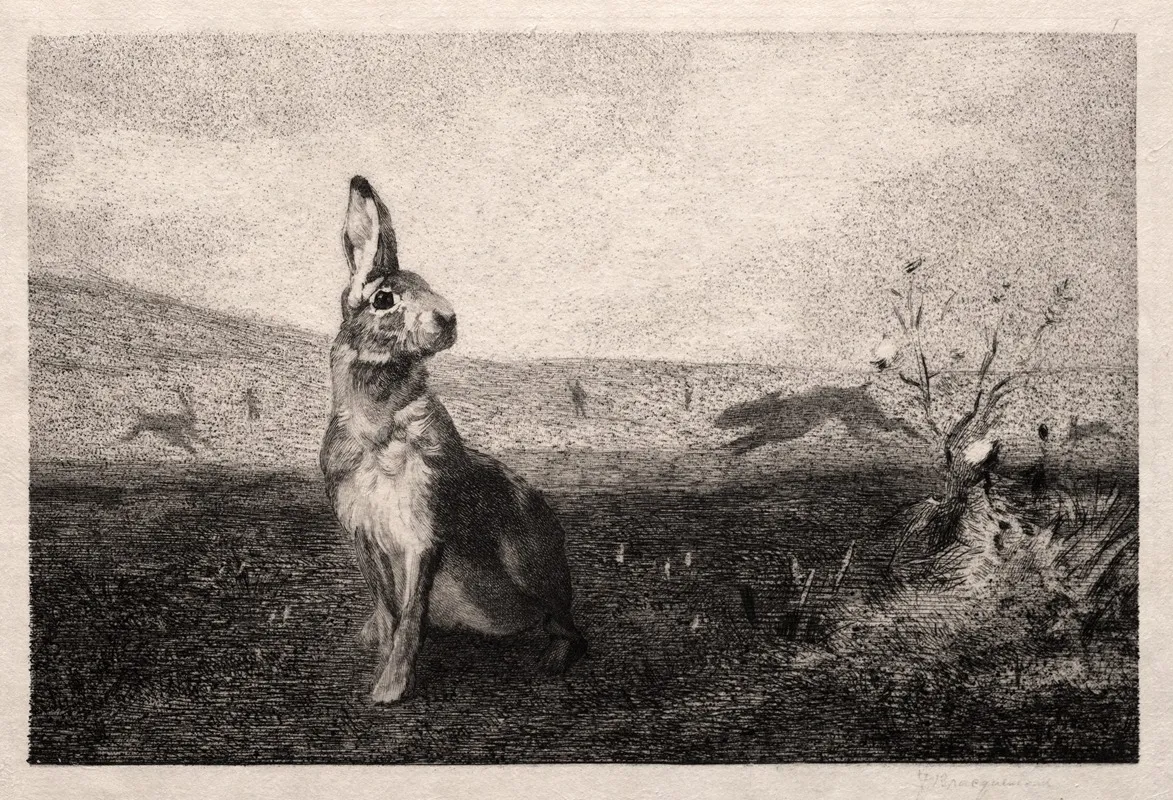 The Hare After A De Balleroy by Félix Bracquemond - Canvas Print