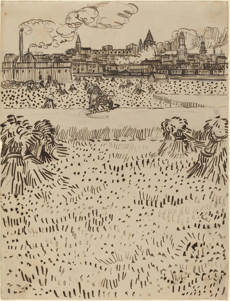 The Harvest 6