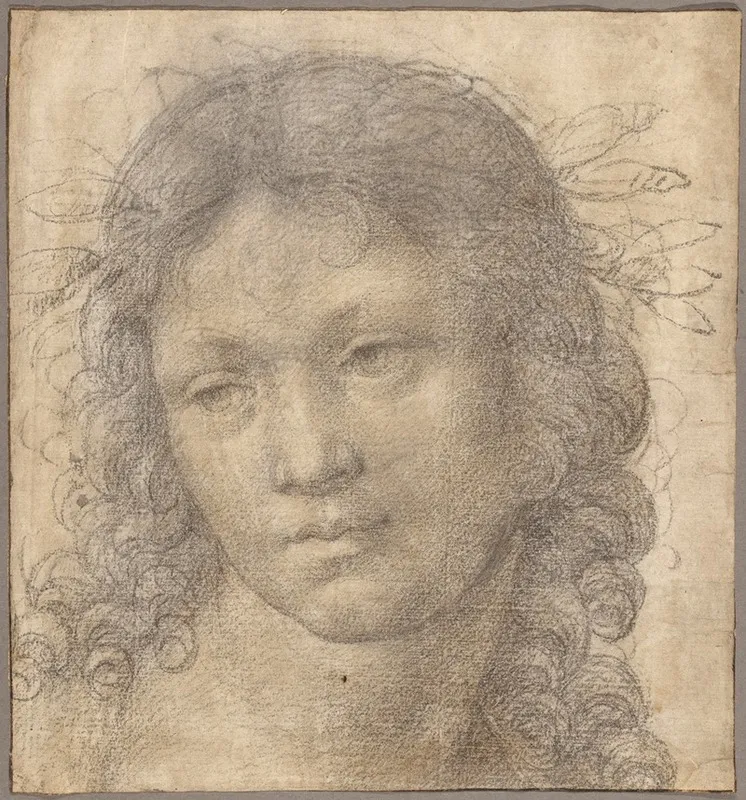 The Head Of A Young Boy Crowned With Laurel