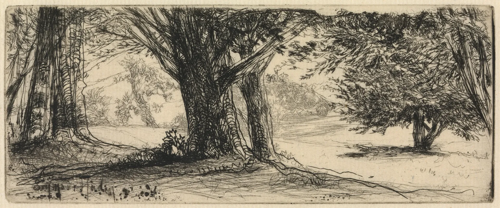 The Holly Field