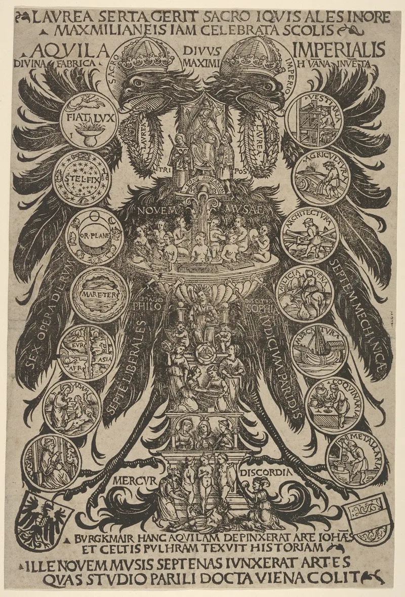 The Imperial Eagle Aquila Imperialis