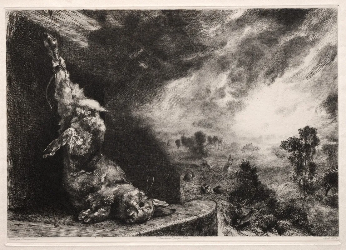 The Large Rabbit by Félix Bracquemond - Canvas Print