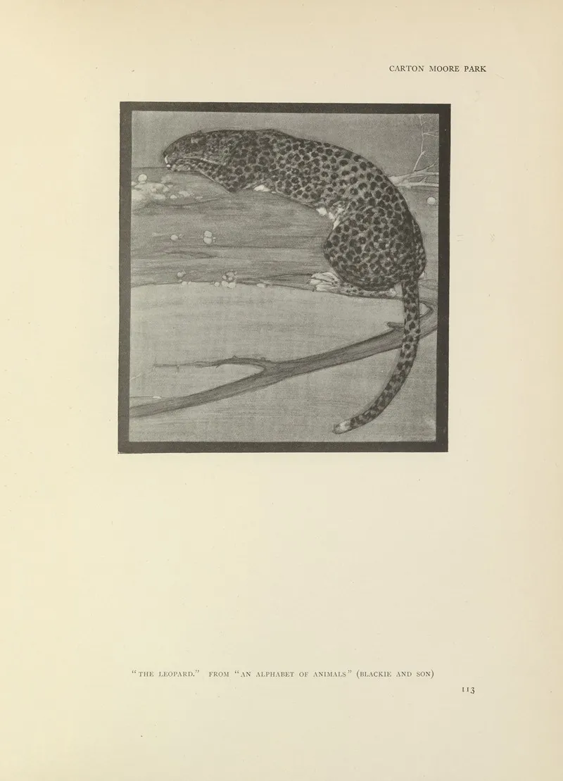 The Leopard An Alphabet Of Animals by Carton Moore Park - Canvas Print